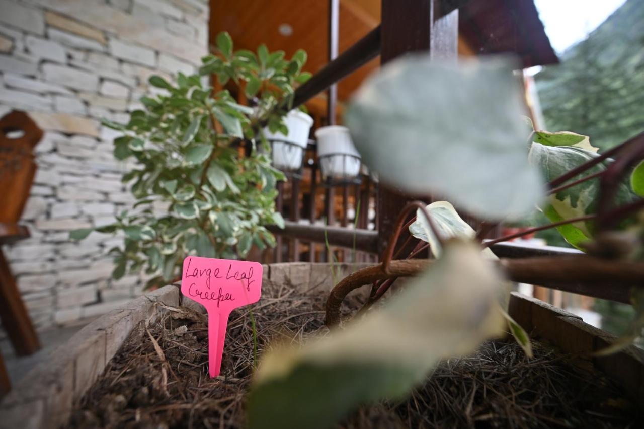 The Hillside Hotel Kasol Kültér fotó